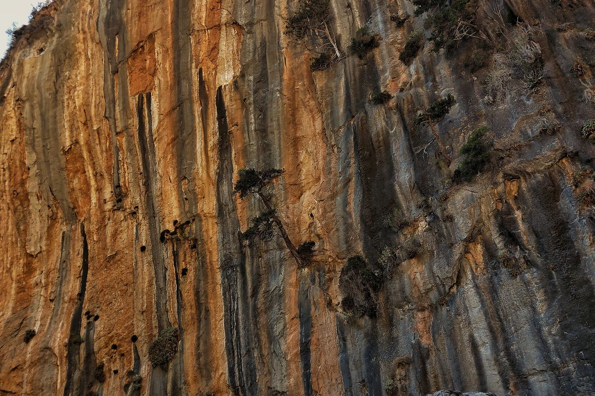 Towering striated limestone cliff face in the White Mountains above the Samaria Gorge trail